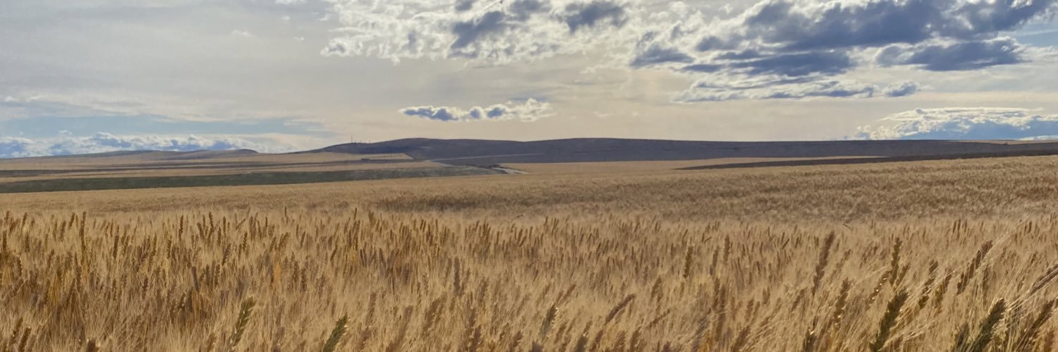 KordTuttle's profile banner image