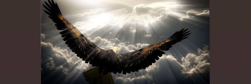 Yukceker's profile banner image