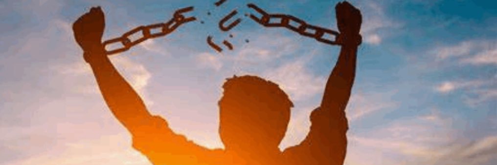 alushhit's profile banner image