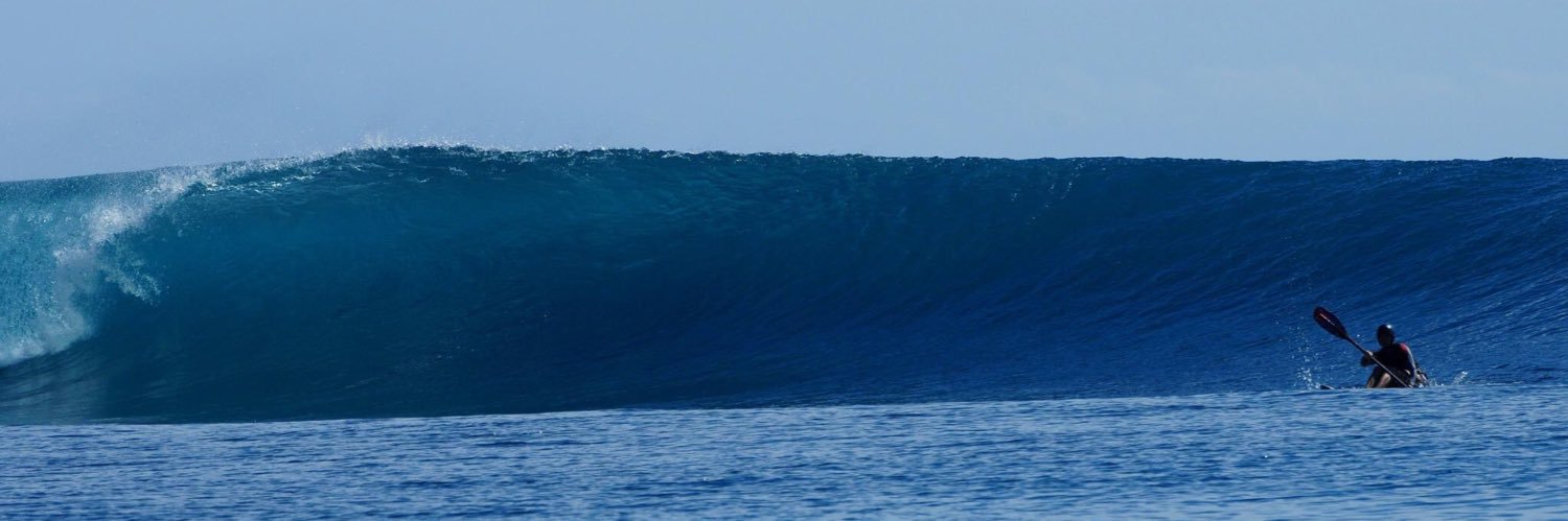 Melissa Hardy banner