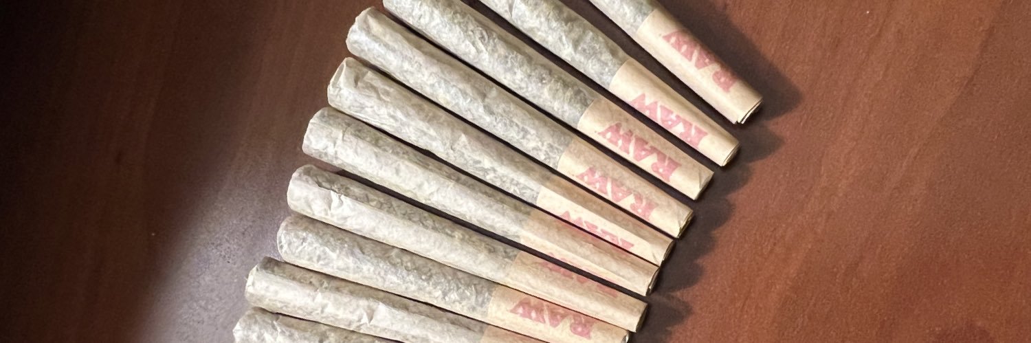 oRemedysZ's profile banner image