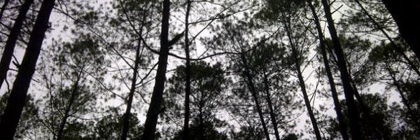 DROWNSOC Profile Banner