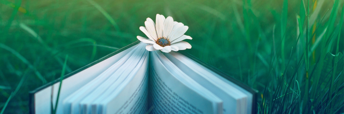 Bibliotopia Stores banner