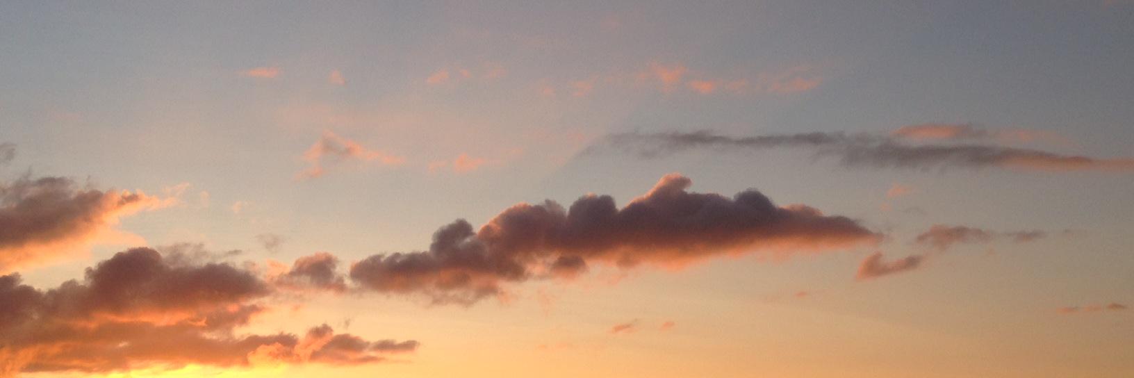 David Boughey banner