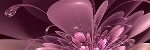 Vitabella014's profile banner image
