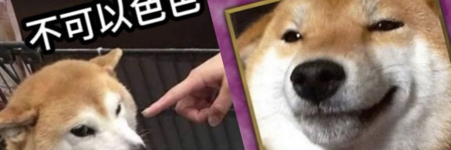 rex20045's profile banner image