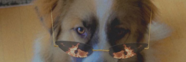 kaaaayytee's profile banner image