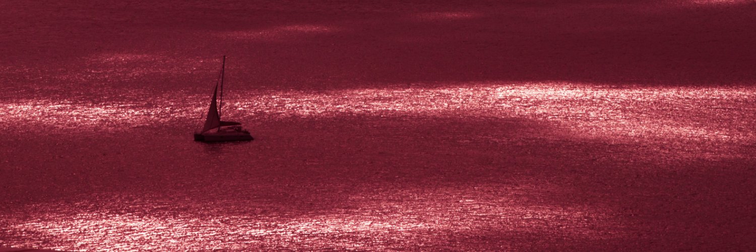 idiaplous's profile banner image