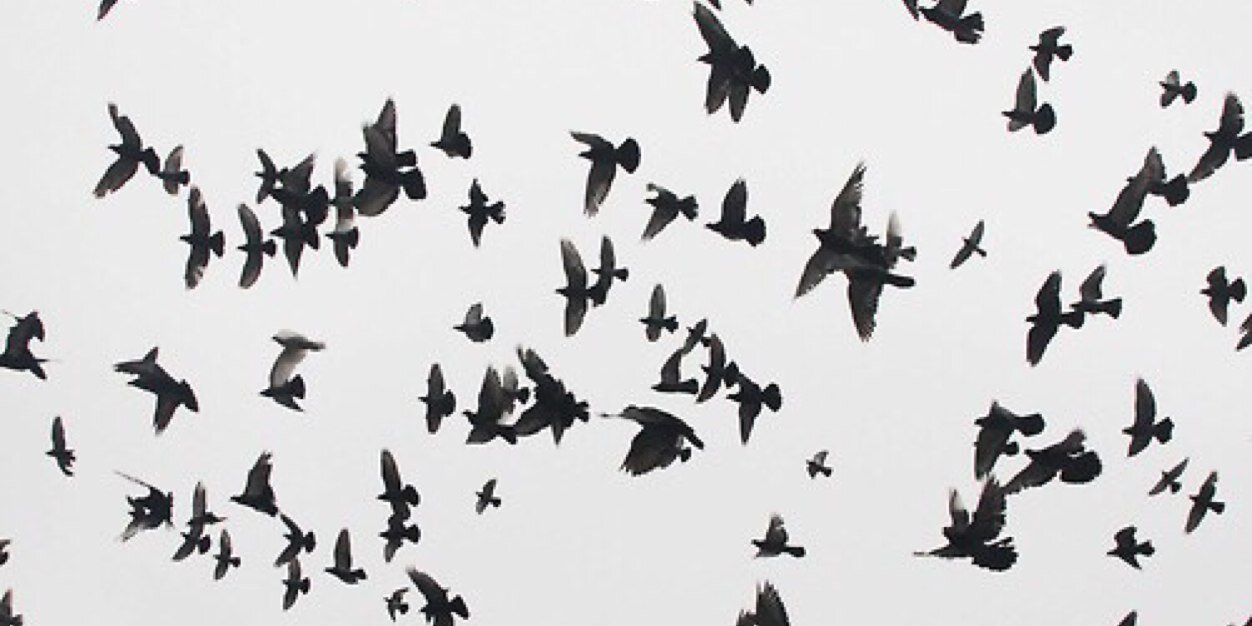 PoemsRUs's profile banner image