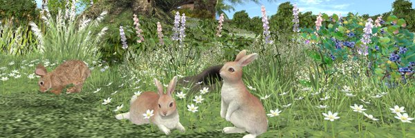 Noa_SL_ Profile Banner