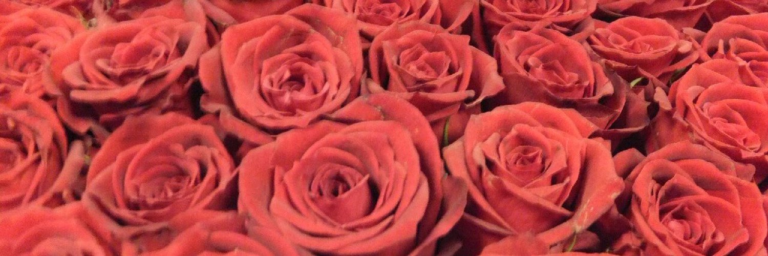 pinklemoneed's profile banner image