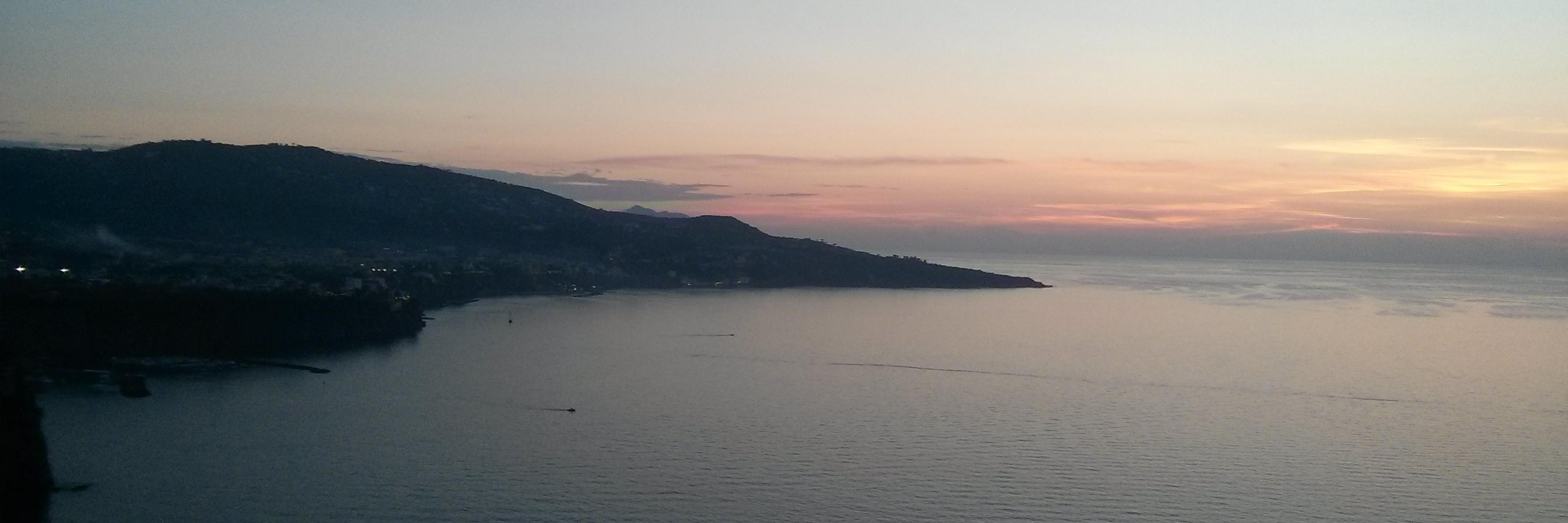 תומר בריסקר banner