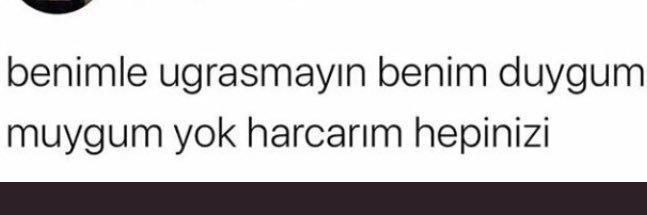 Aysearbcglu's profile banner image