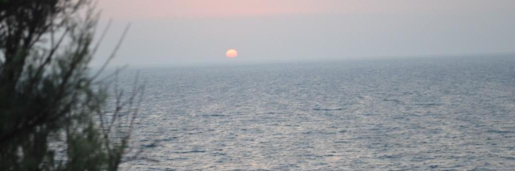 Paragios, Nikos banner