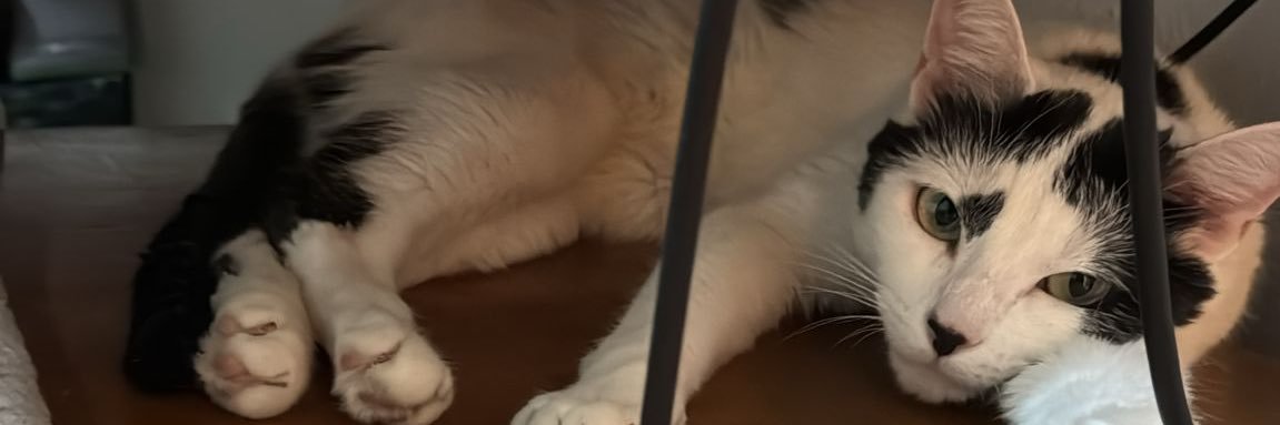 MorumaX_'s profile banner image