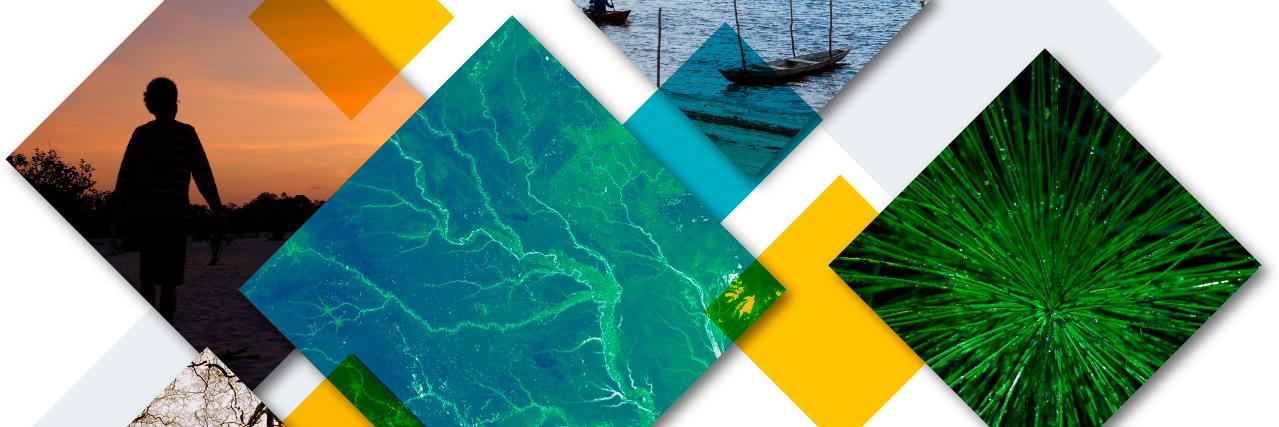 Sustentabilidade FGV banner