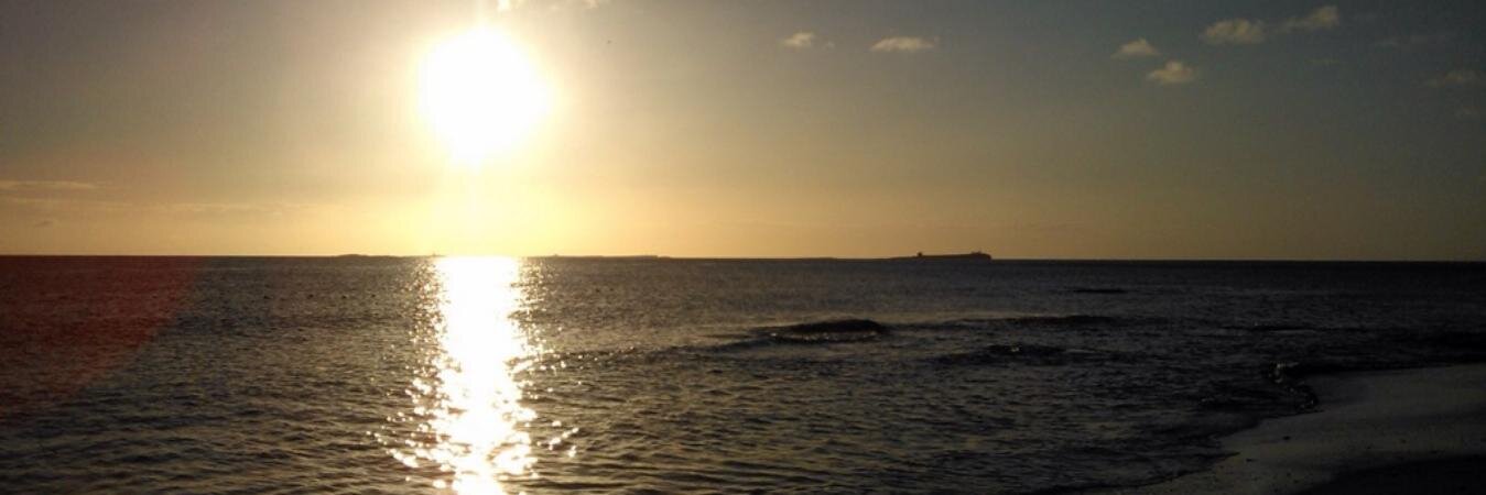 IanDaly15's profile banner image