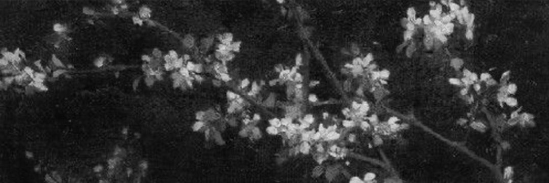 rosesnpinks's profile banner image