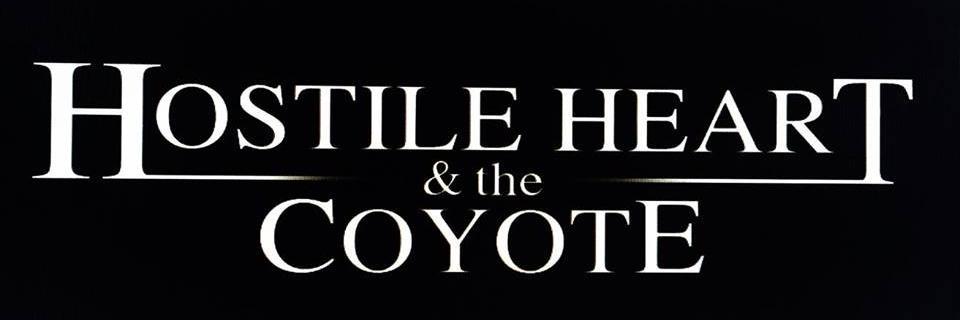hostilecoyote's profile banner image