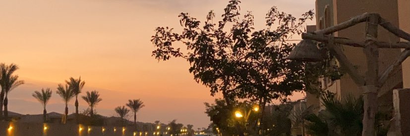 Sandoo__'s profile banner image