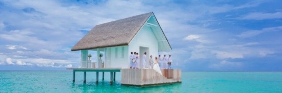 minttea7651's profile banner image