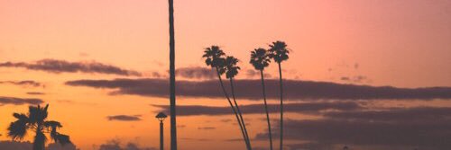 Monica_GK's profile banner image