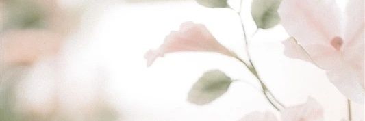 SadieMayCakes's profile banner image