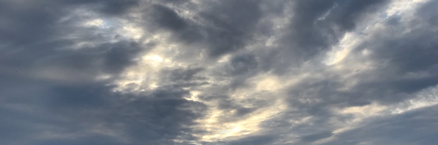 NAILOVEC's profile banner image