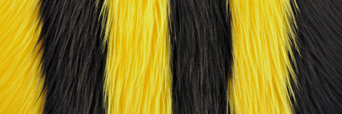 niagarabuzzca's profile banner image