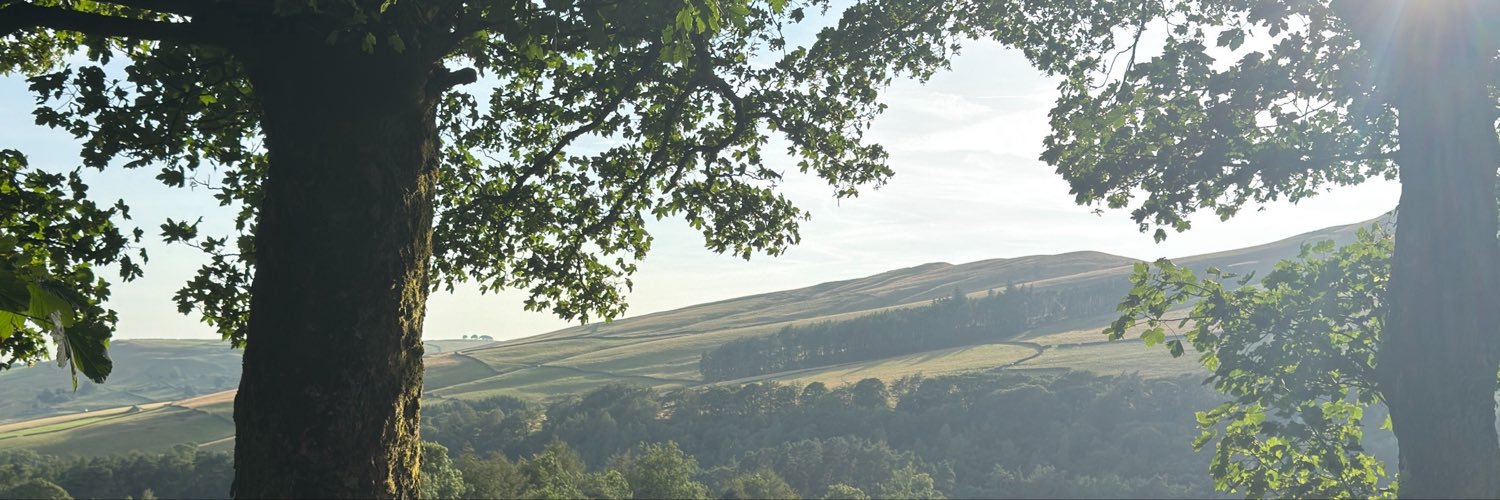davidnowlinn's profile banner image