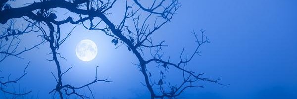 silent4croset's profile banner image