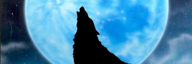keibalovejp5896's profile banner image