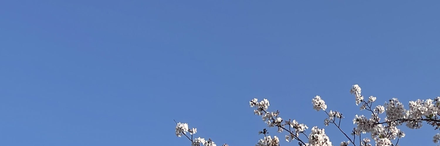 kyoko_AXS's profile banner image