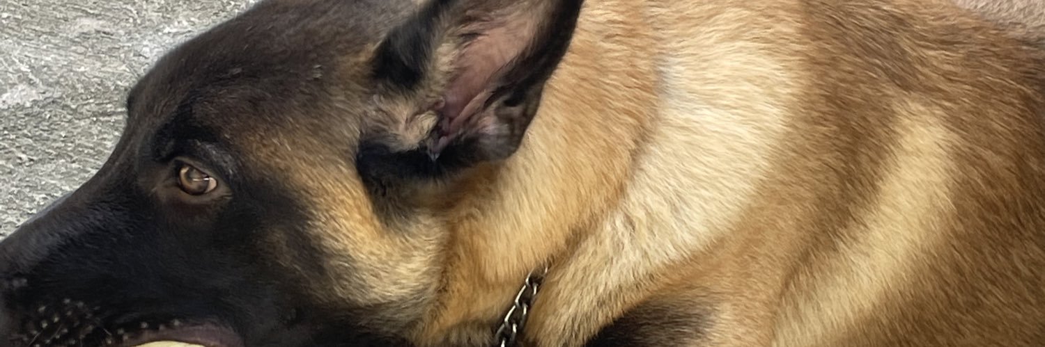 Cojoooooo's profile banner image
