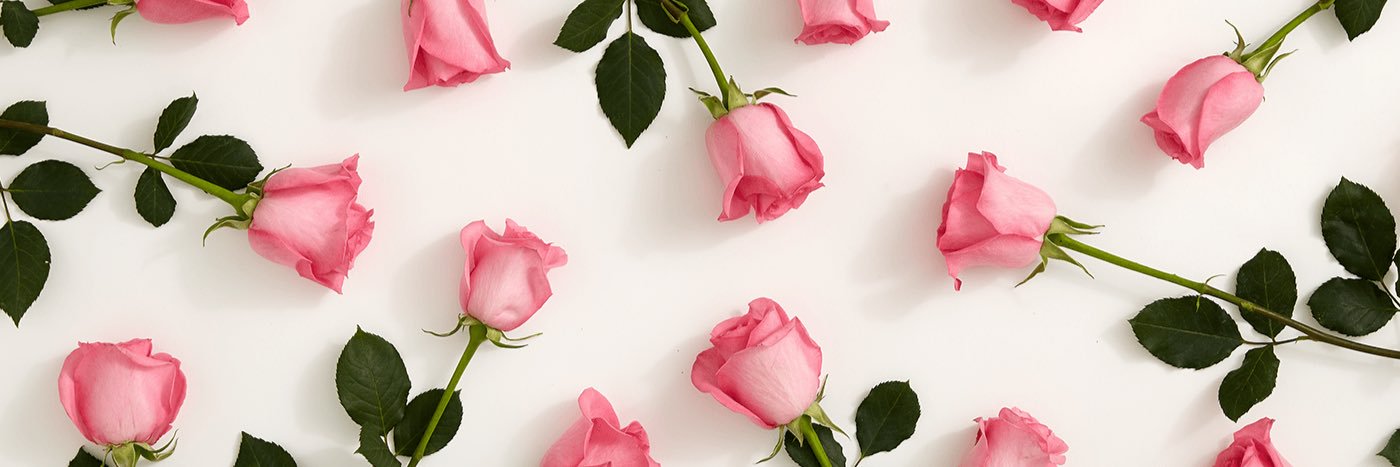 Dina_Moustafa's profile banner image