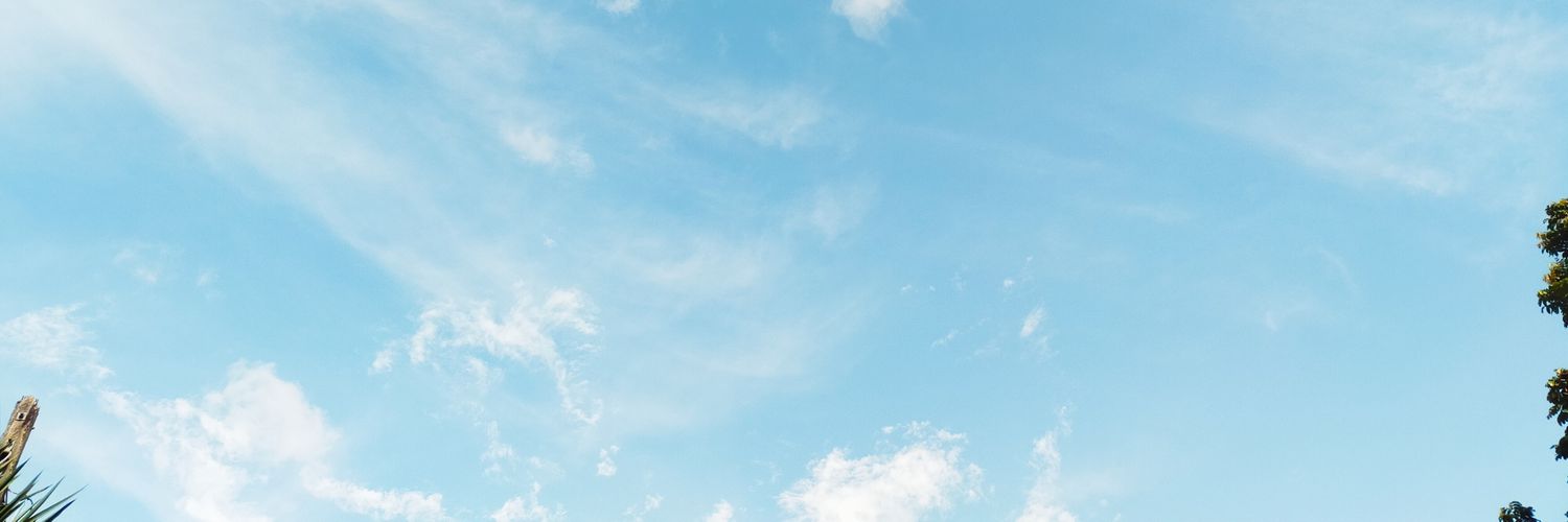 catmint143's profile banner image