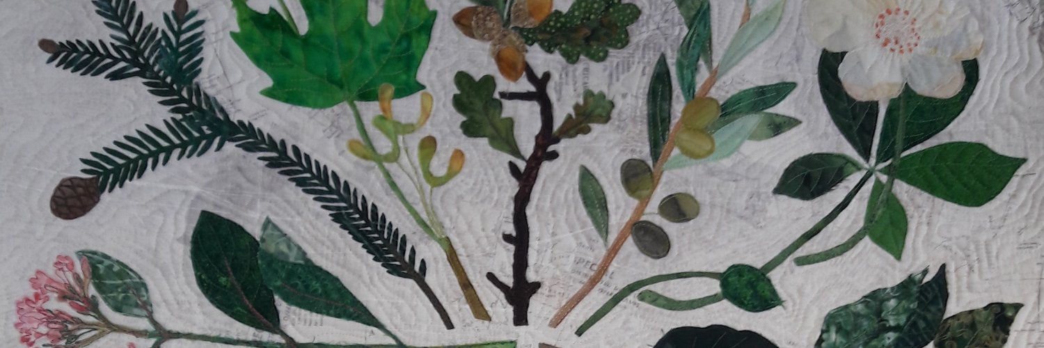 anneharrington's profile banner image