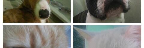 YusteSole's profile banner image
