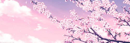 janevyne's profile banner image