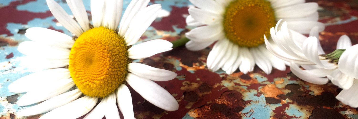 hanwin13's profile banner image