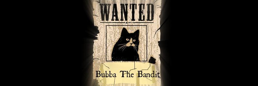 BubbaTheBandit's profile banner image