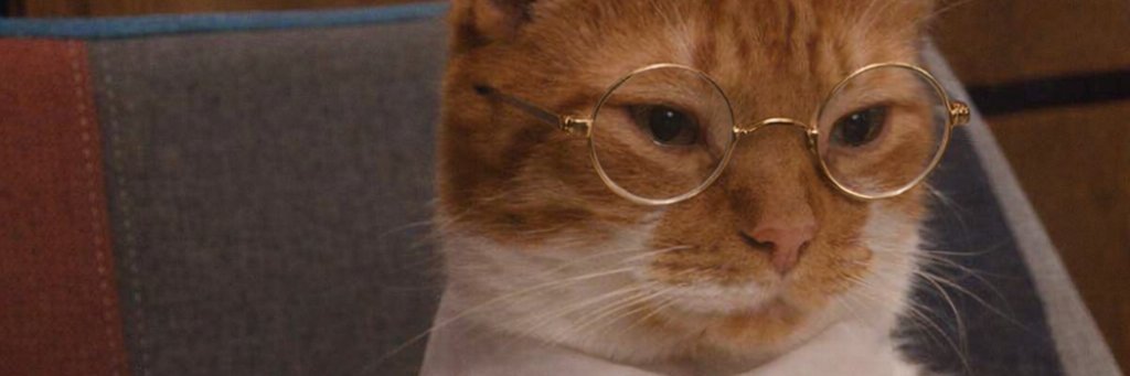 dwelfusius's profile banner image