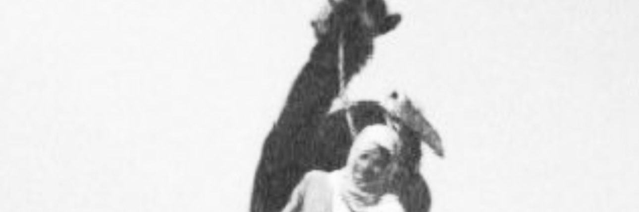 Add_157's profile banner image