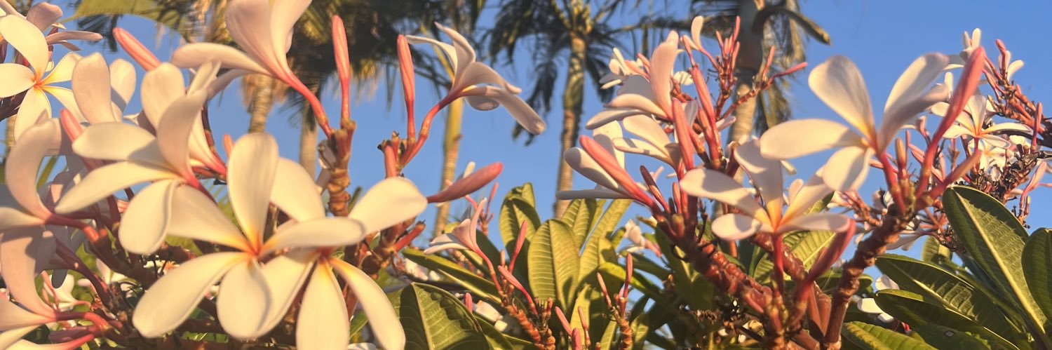 hey_lei_05's profile banner image