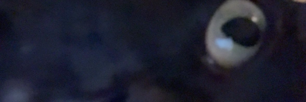 ymguy_'s profile banner image