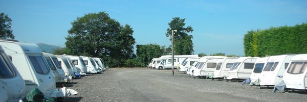 cassoa Profile Banner