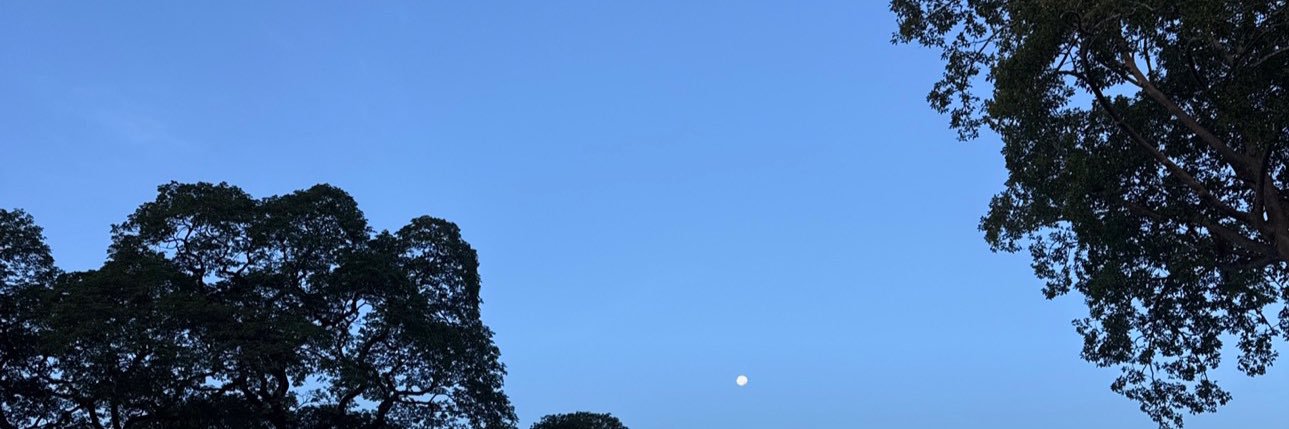 A_C1004's profile banner image
