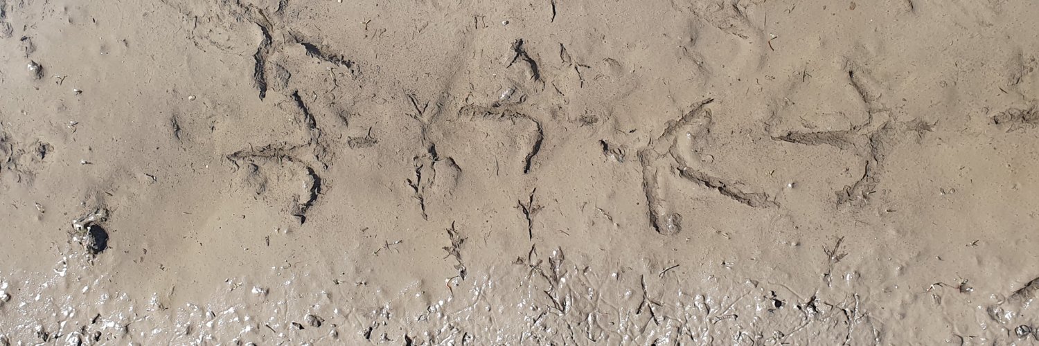 Isabel Bäurle banner