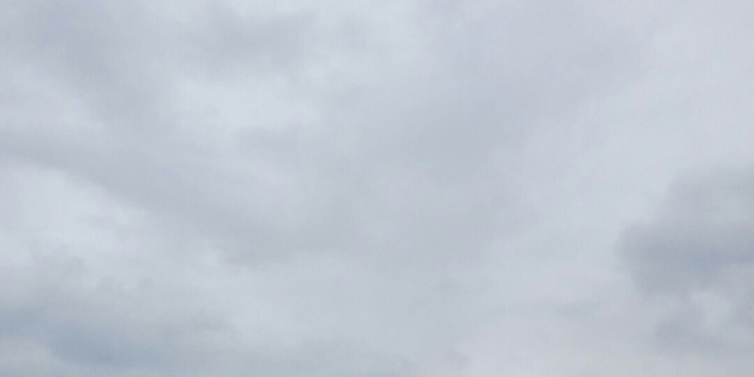 syorinkon's profile banner image