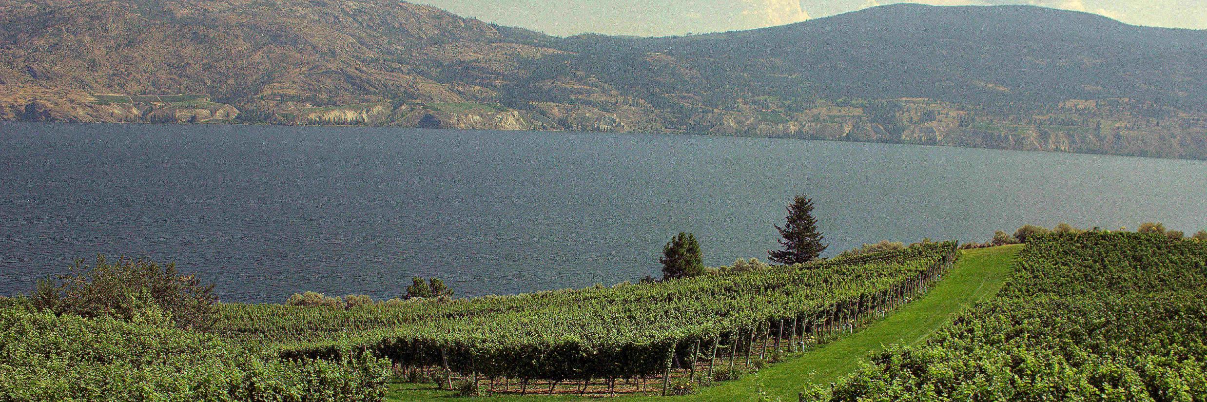 tryokanaganwine's profile banner image